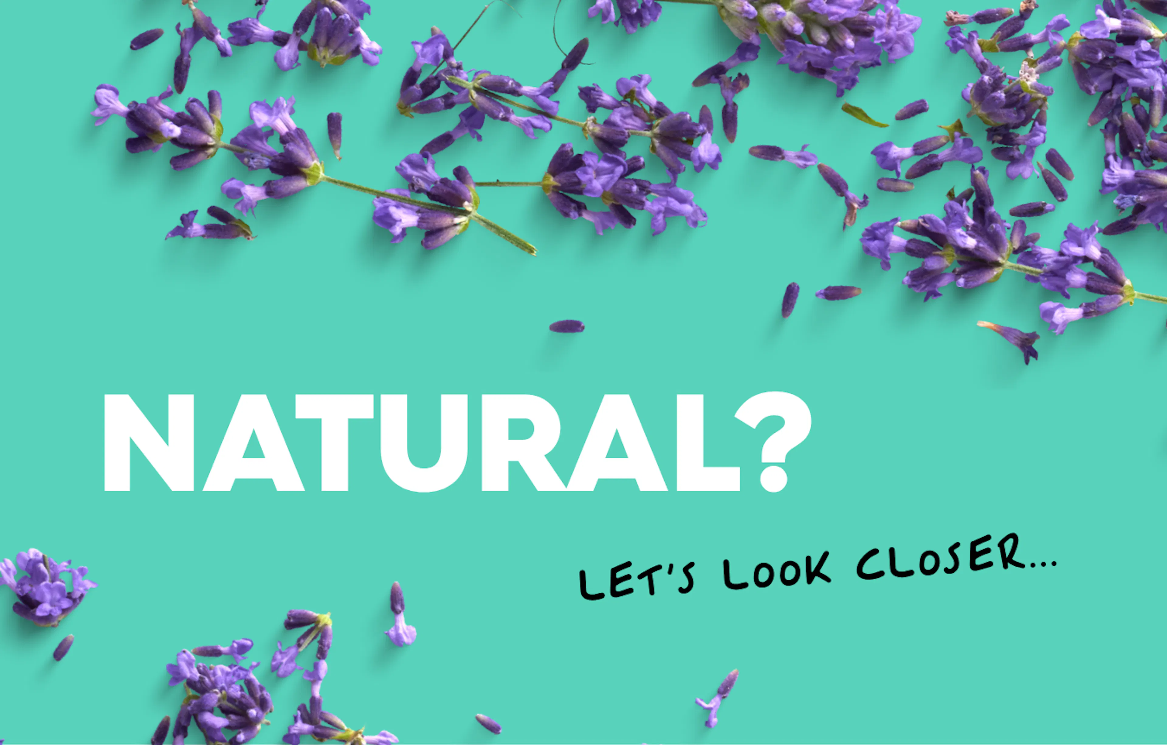 lavender on a blue green background. text: natural? let's look closer