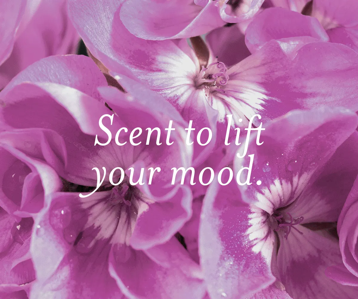 Clean Reset fragrance ingredients. Text: scent to lift your mood.