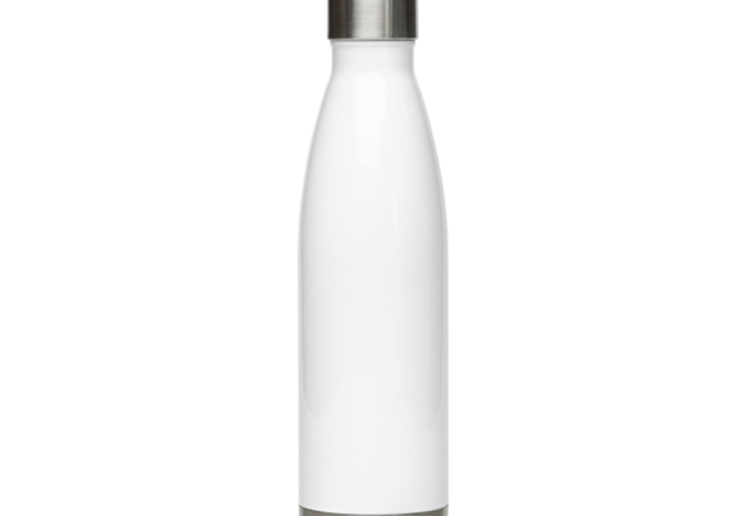 Stainless Steel Bottle