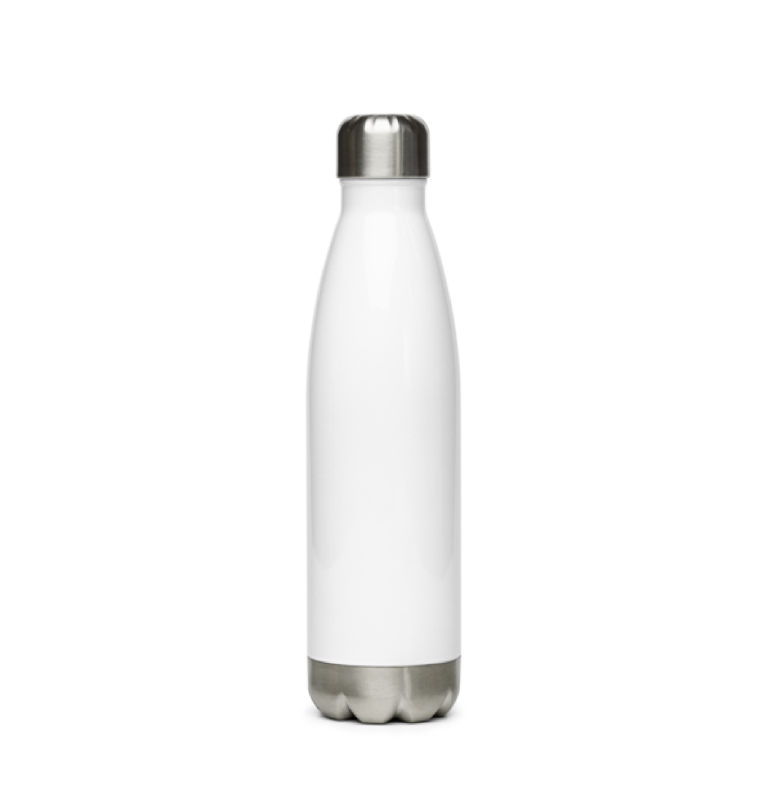 stainless steel water bottle