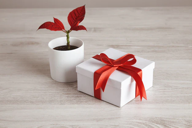 holiday gift hampers online with SnackMagic
