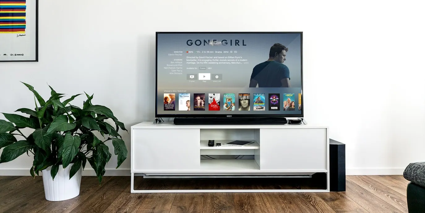 flat screen TV in living room