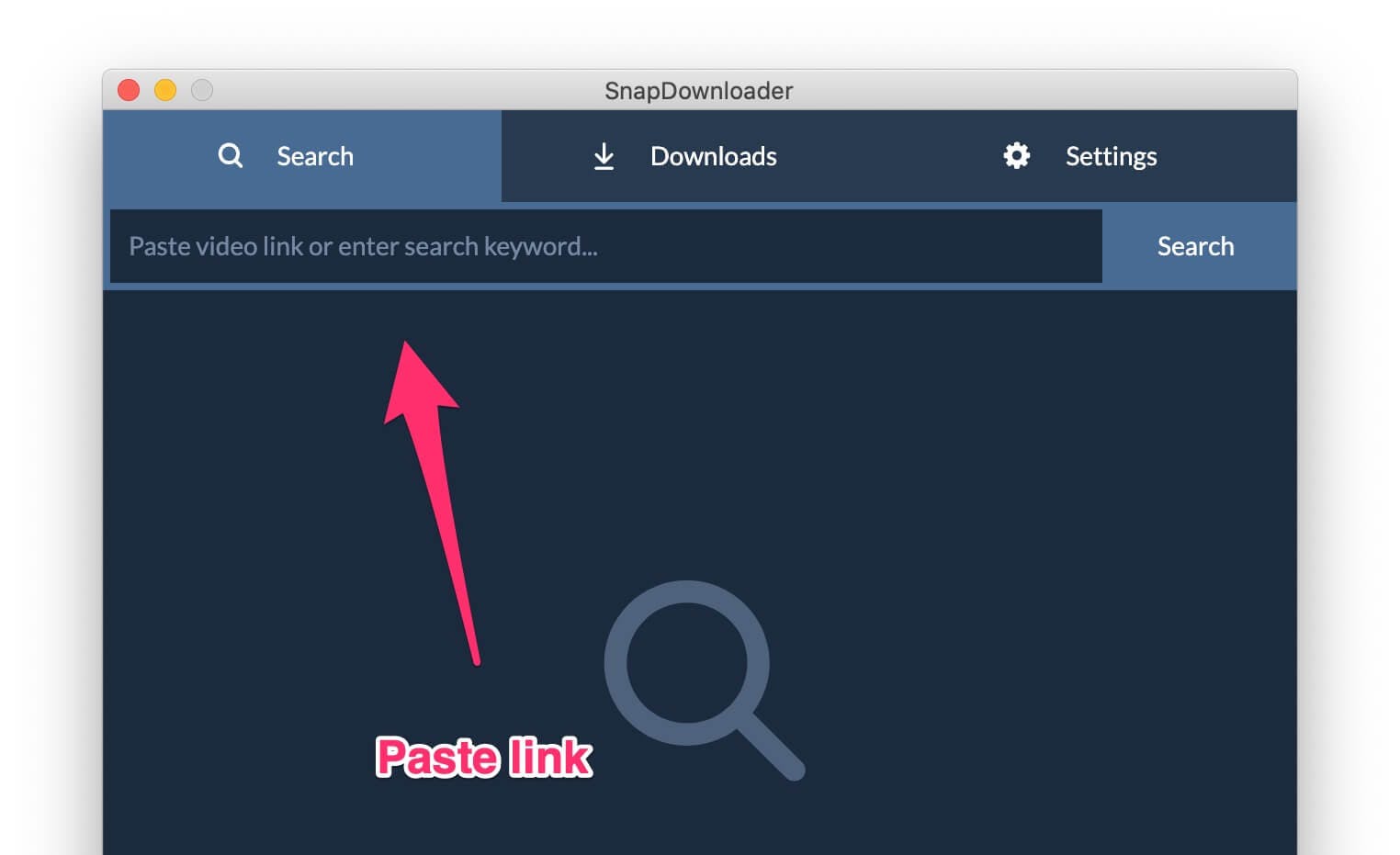 snapdownloader