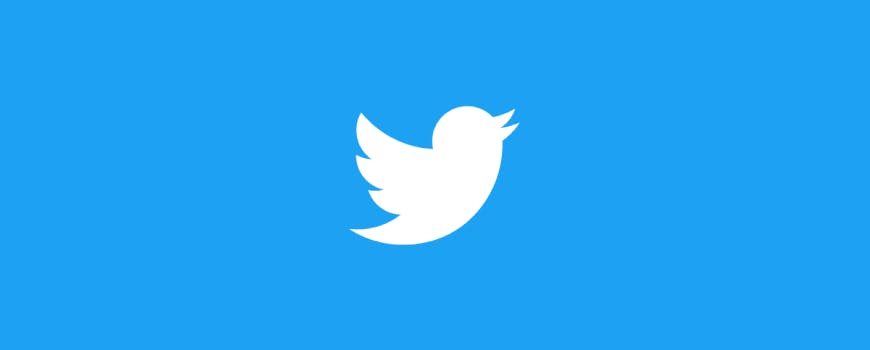 How to Download Twitter Videos?
