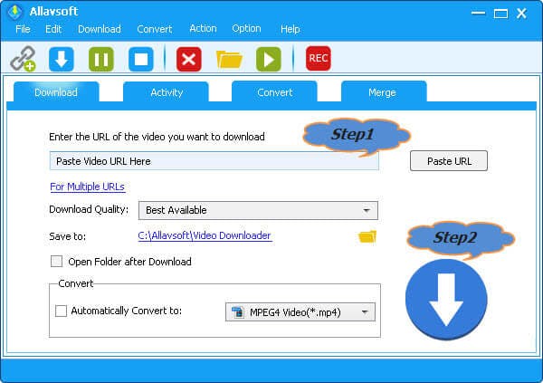 Allavsoft video downloader interface