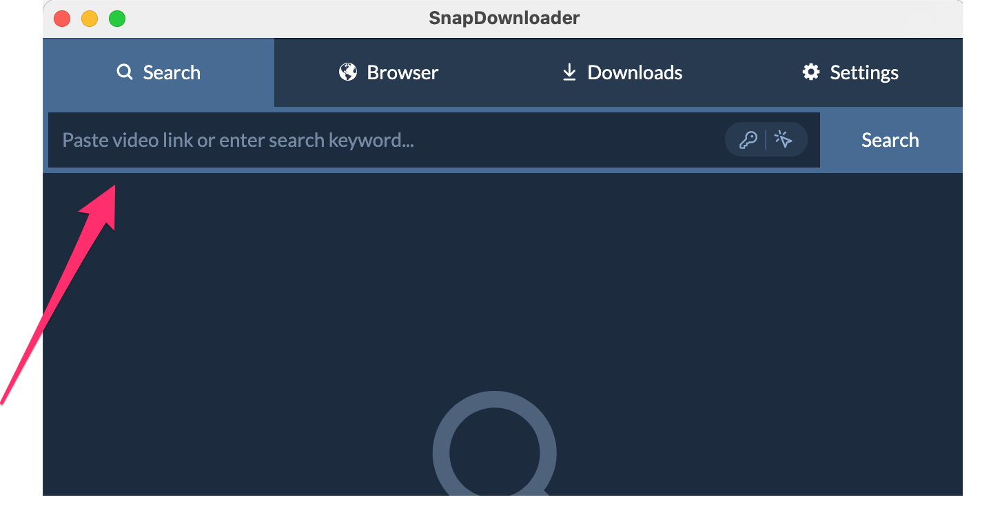 paste video url in snapdownloader