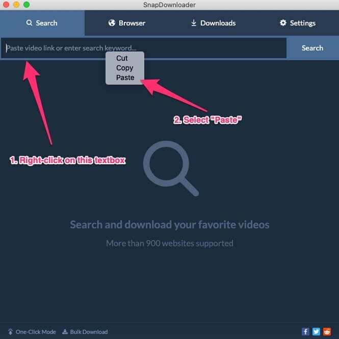 paste video link in SnapDownloader