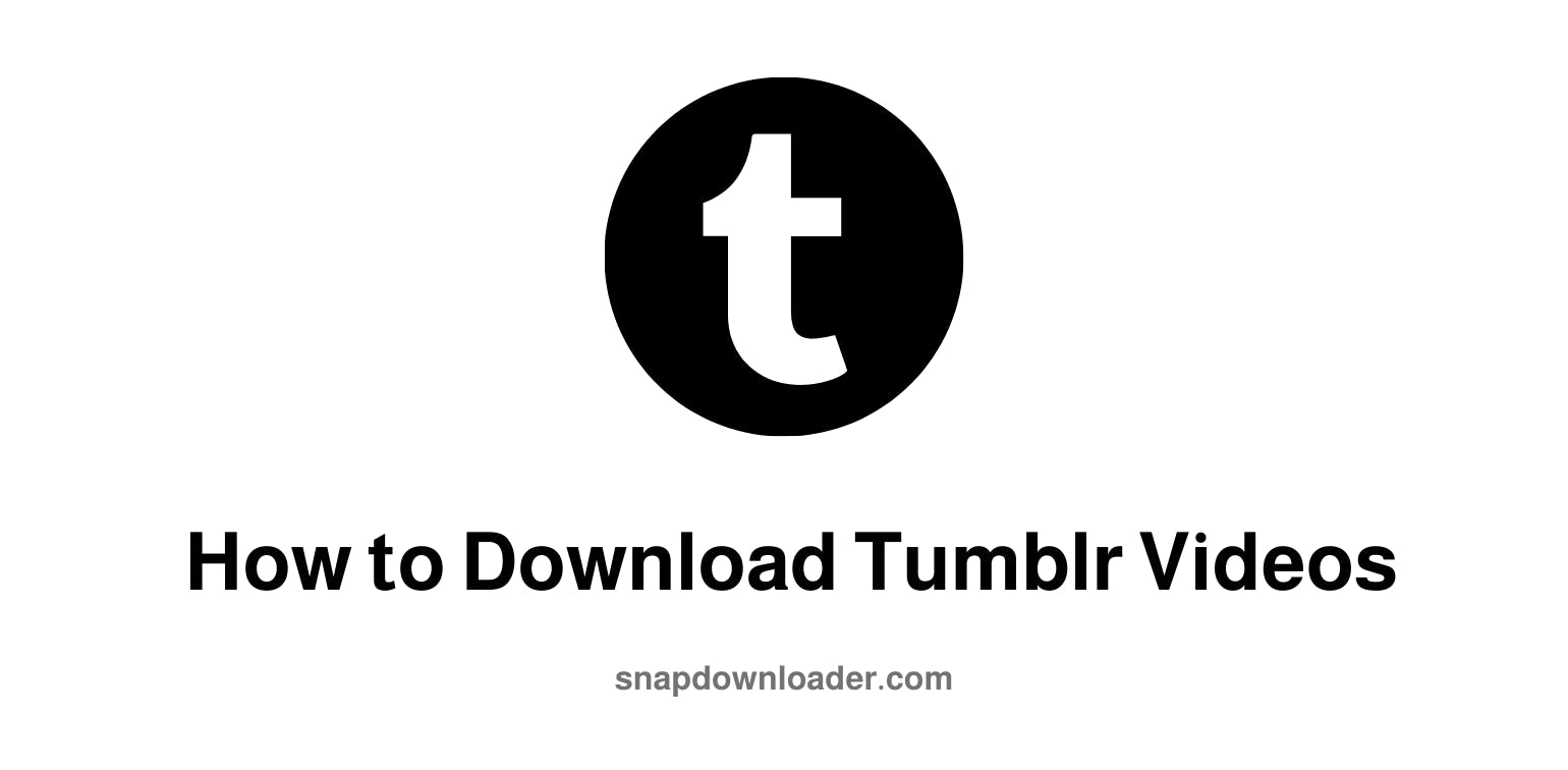 Step-by-Step Guide on How to Download Tumblr Videos (Many Ways) in 2025
