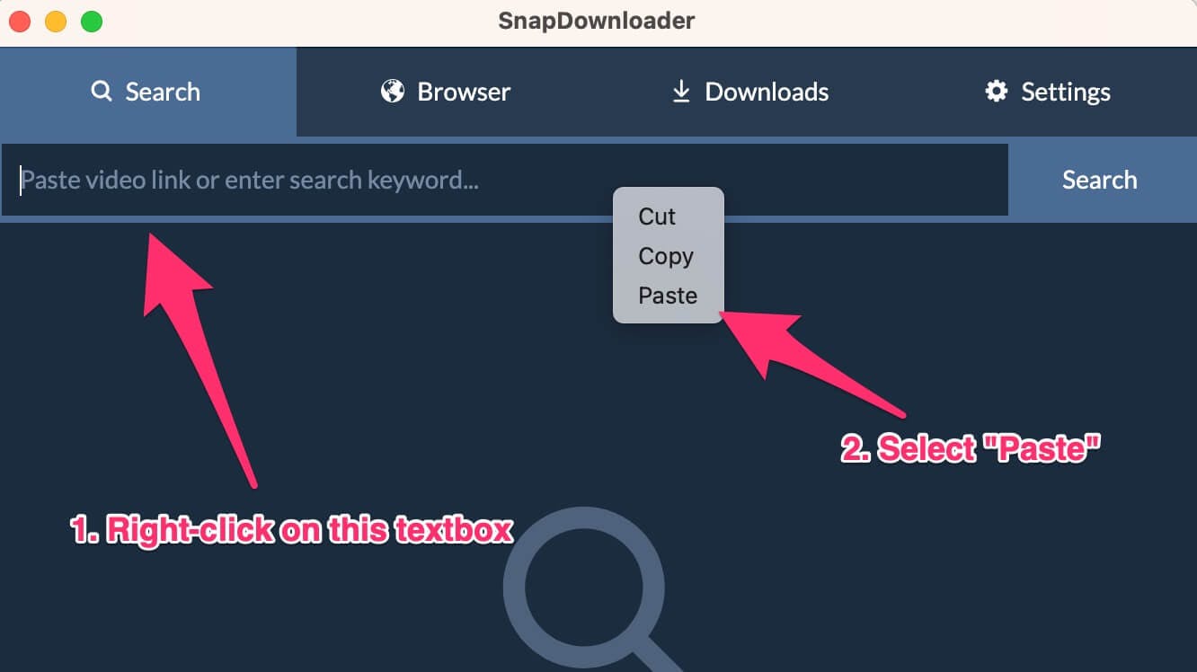 paste link into snapdownloader