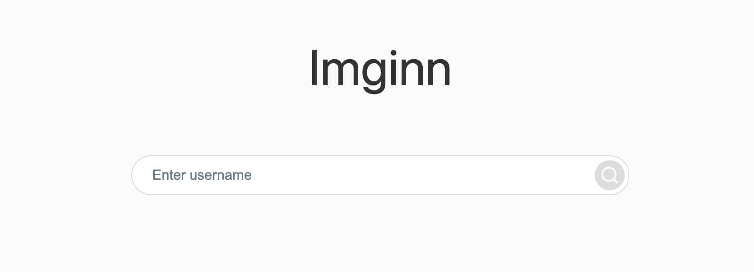 imginn homepage