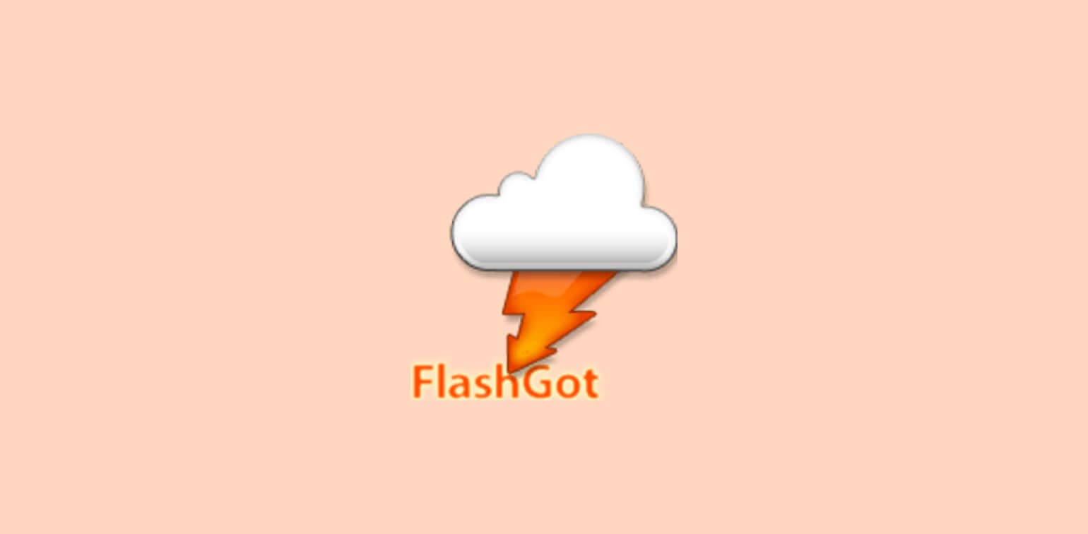 FlashGot Review & A Powerful Alternative 
