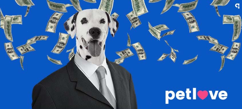 petlove capta R$750 milhões