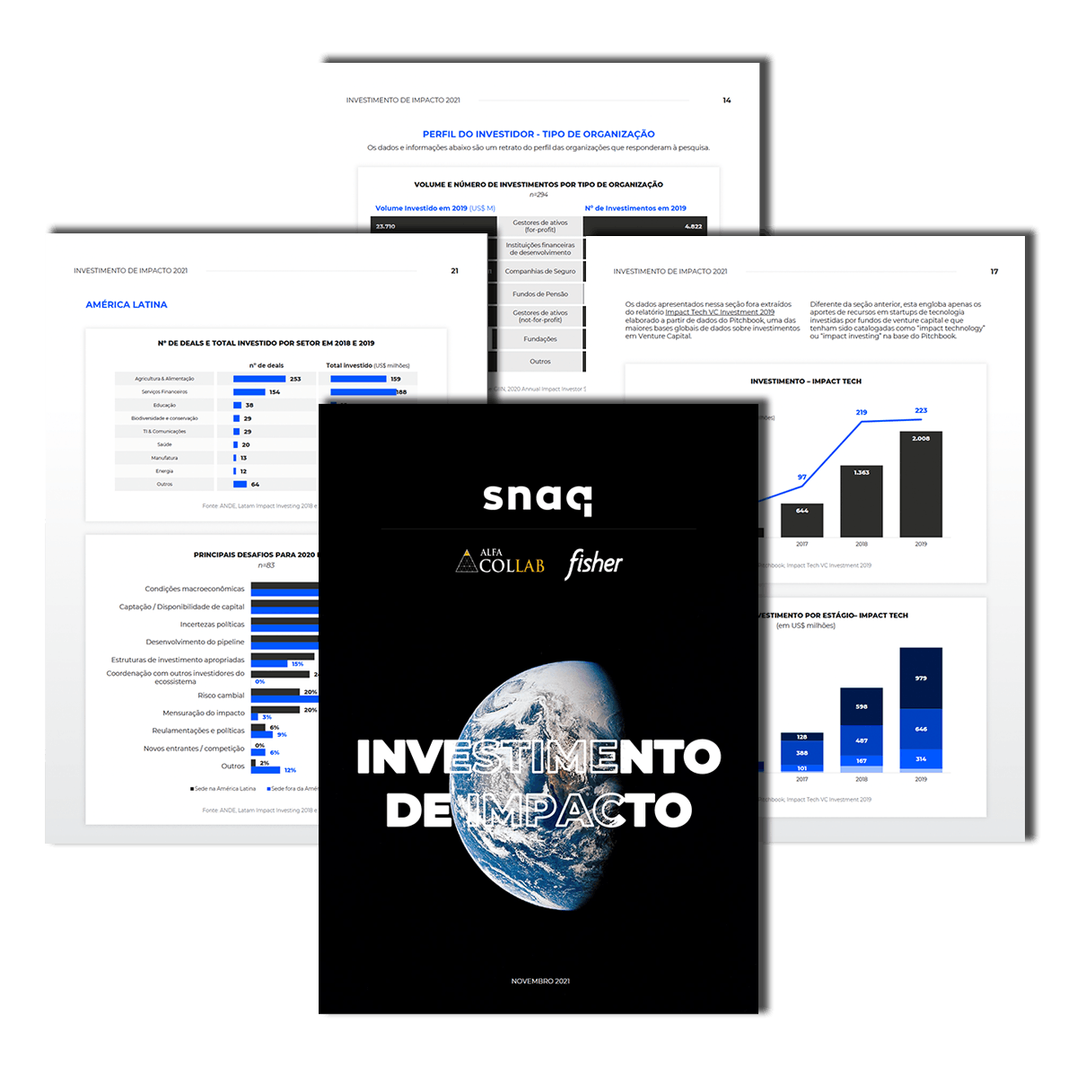 report sobre investimento de impacto
