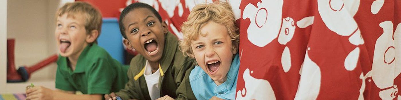 Introducing Hipster, Charlie and Paddington