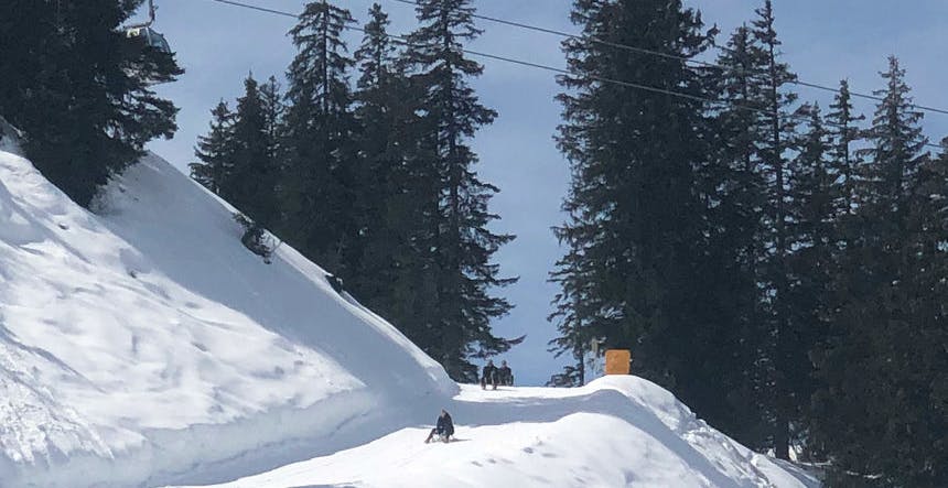 Fun-filled tobogganing