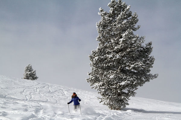 Skiing in powder snow