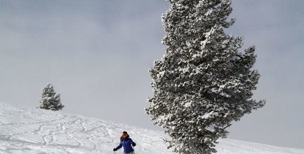 Skiing in powder snow