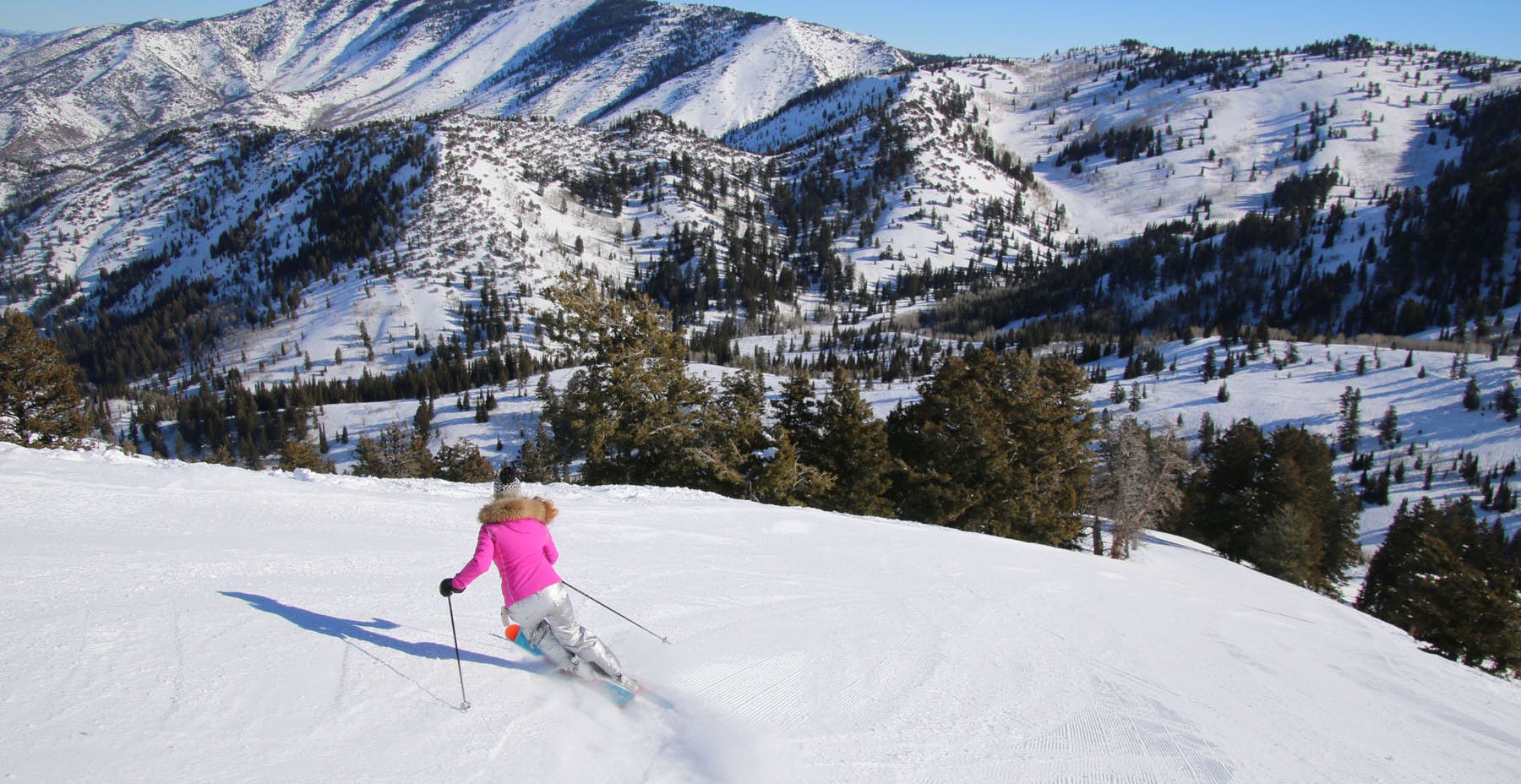 Skiing in Powder Mountain