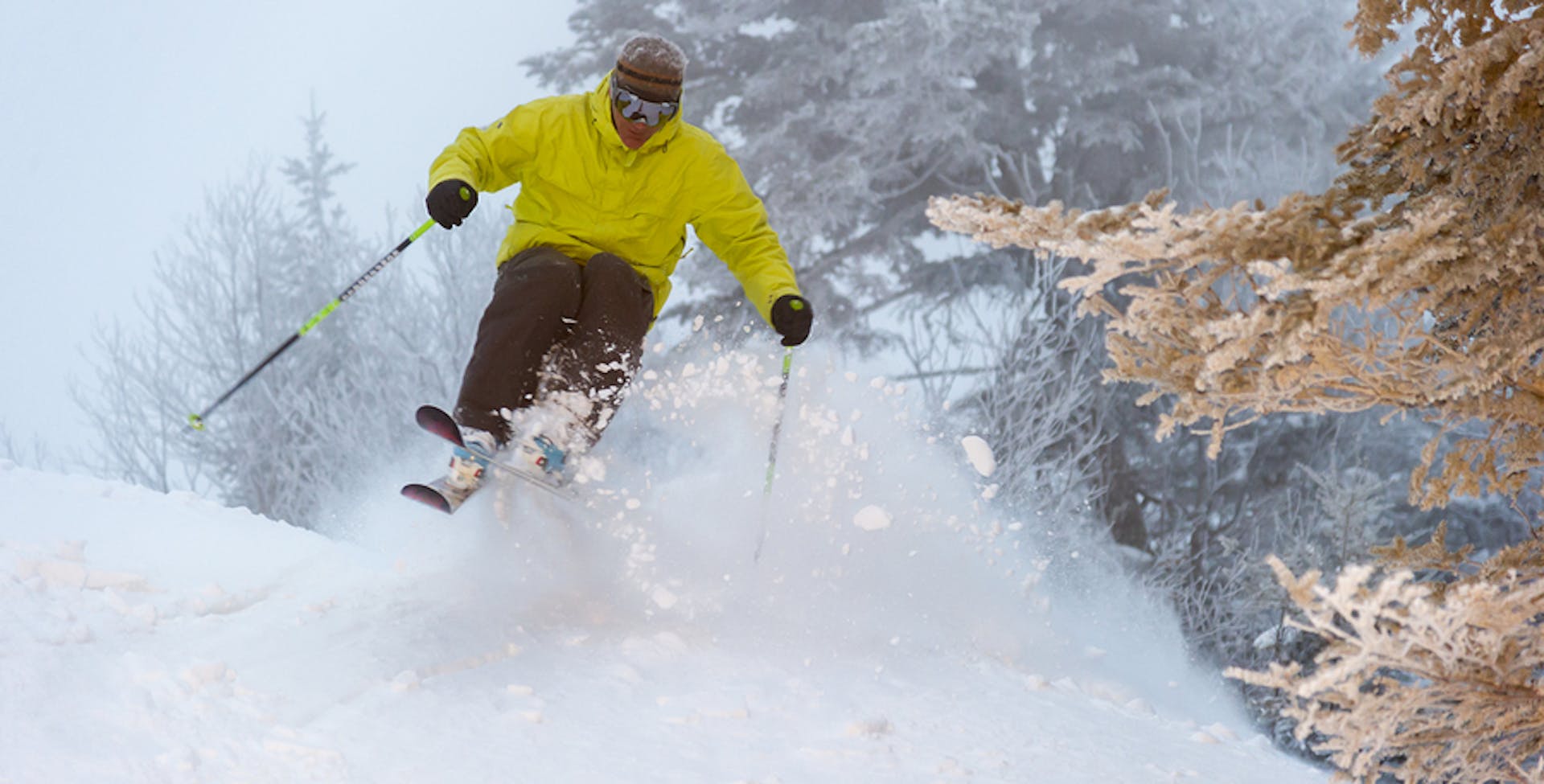 Expert skier on a powder day