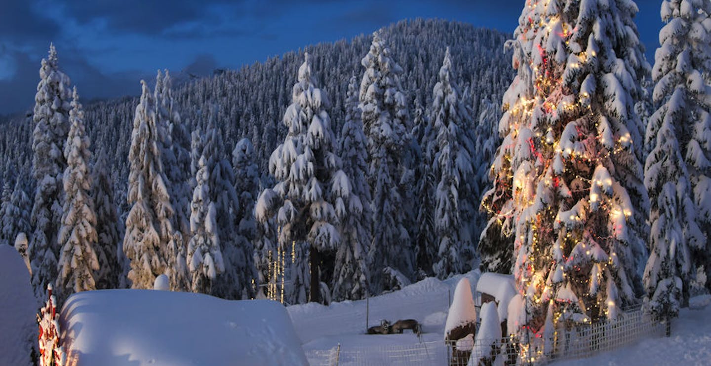 Vancouver Grouse Mountain in winter
