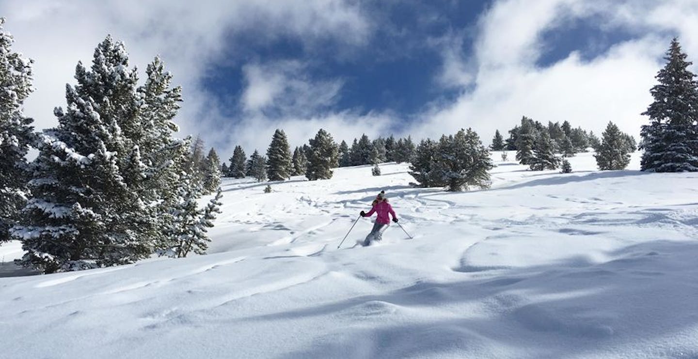 All the pow at Vail