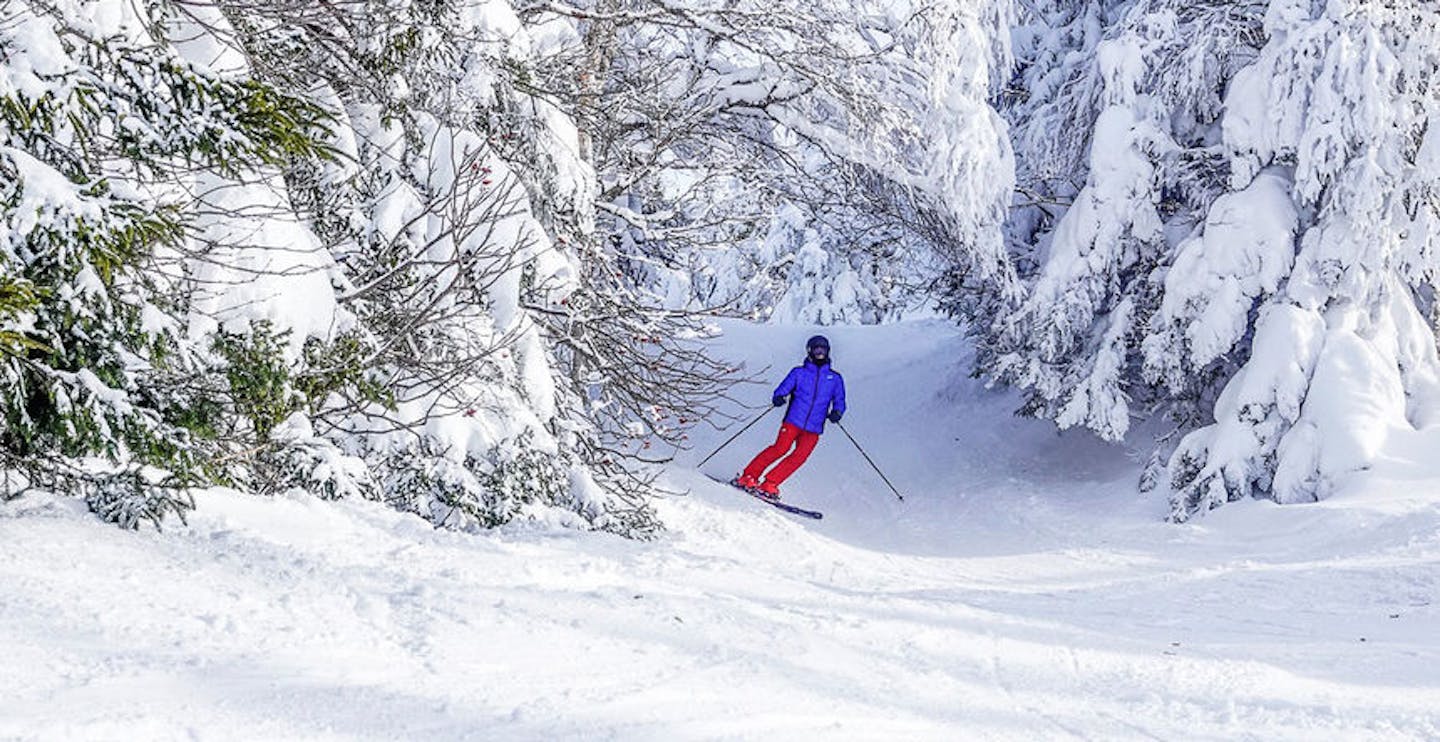 Ski between the snow covered trees at Mont Sutton (Photo credit: Mont Sutton Resort)