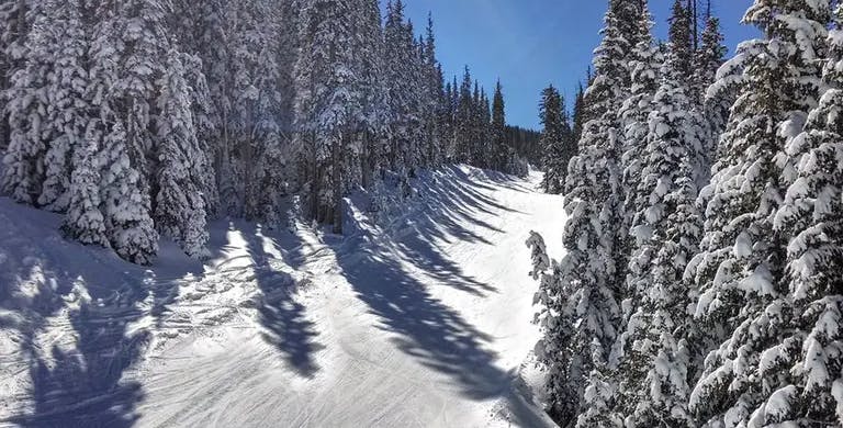 3 Best Ski Resorts in Arizona, 2023/24