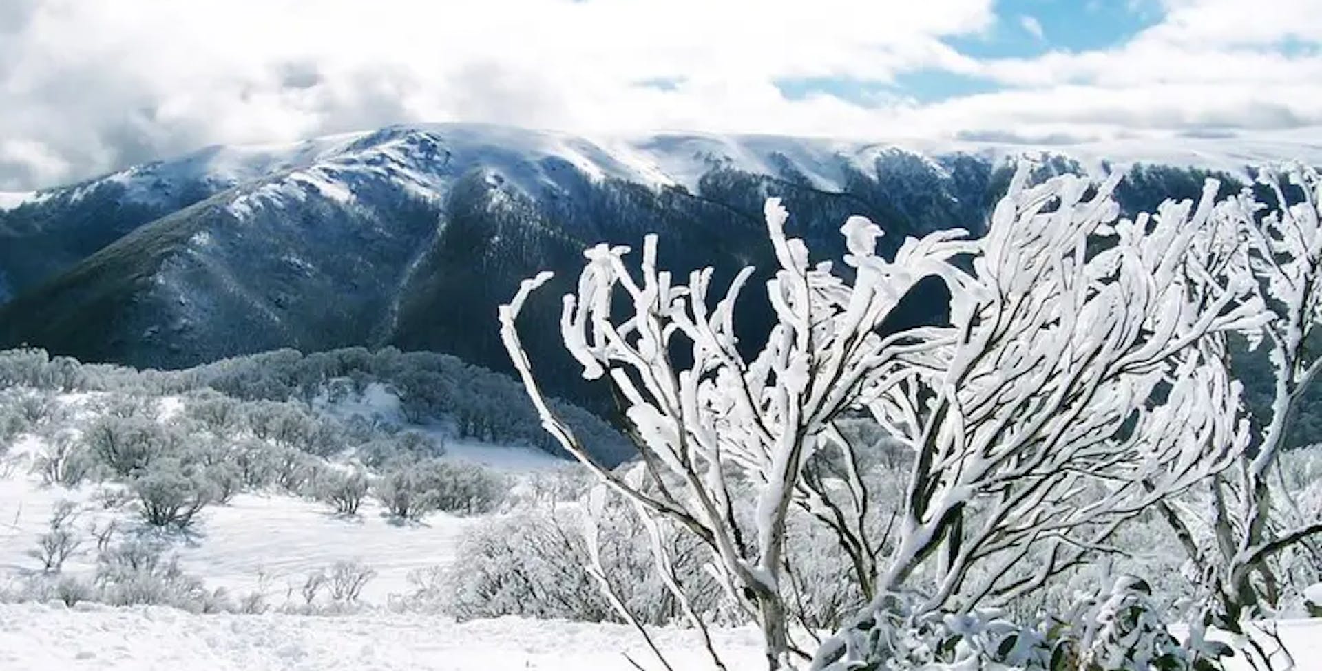 5 Best Ski Resorts in Australia, 2023/24 
