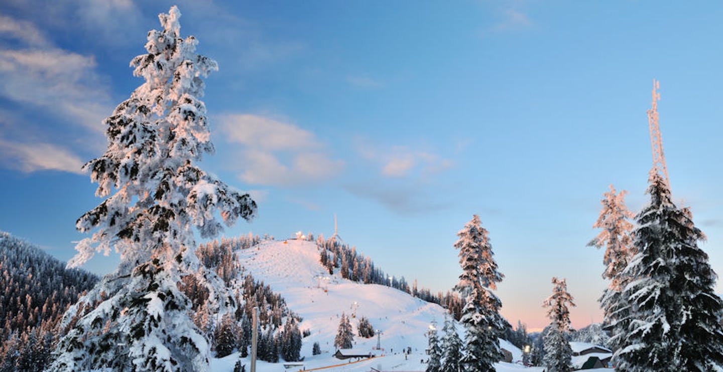 Grouse Mountain