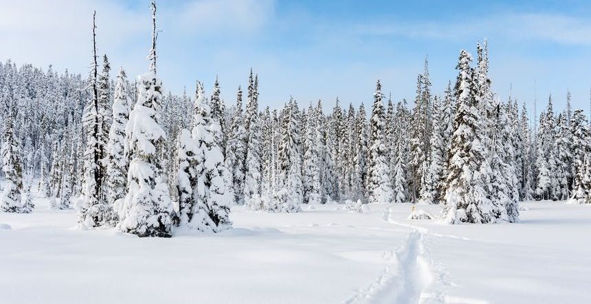 Fresh powder at Mount Washington