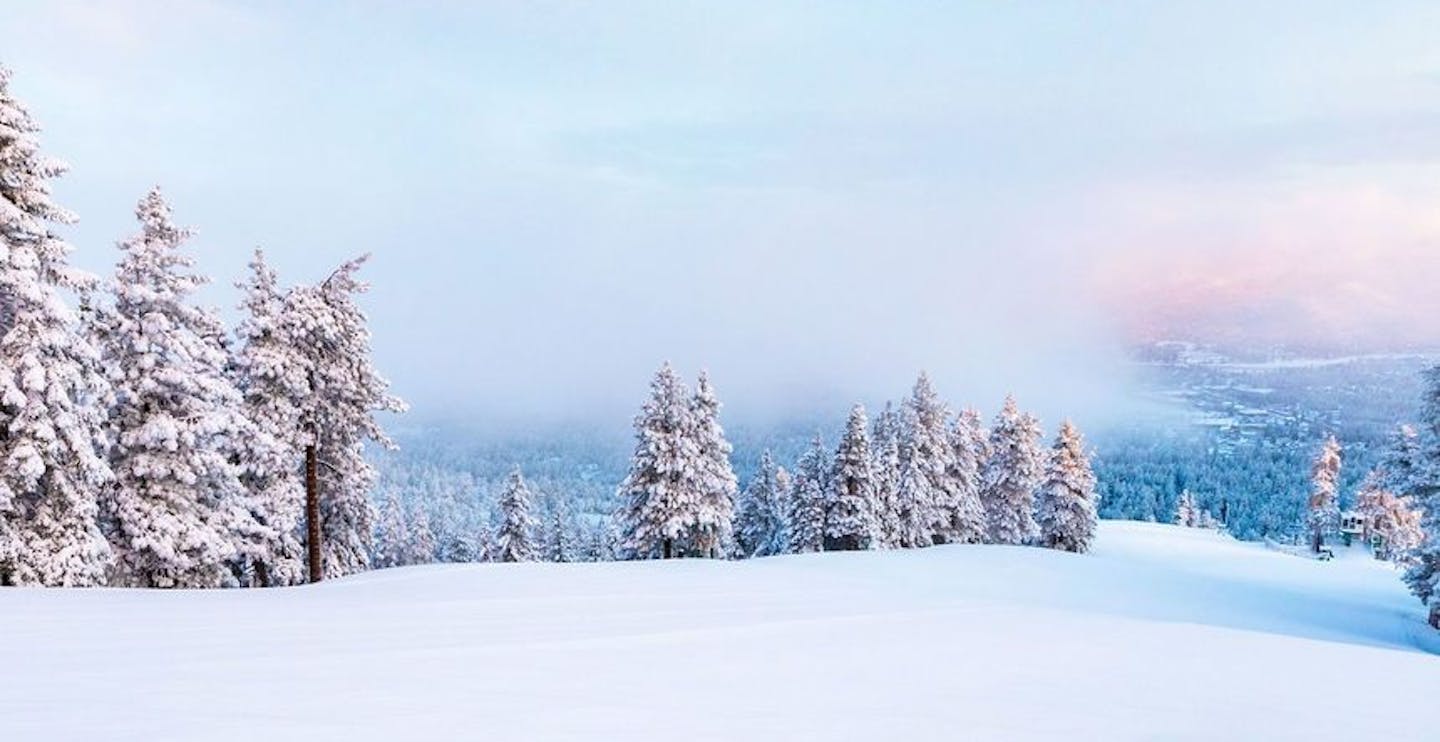 Mellow terrain at Bear Mountain (Photo credit: Big Bear Mountain Resort)