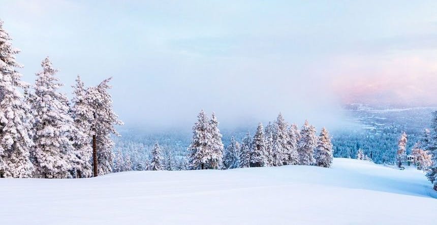 Mellow terrain at Bear Mountain (Photo credit: Big Bear Mountain Resort)