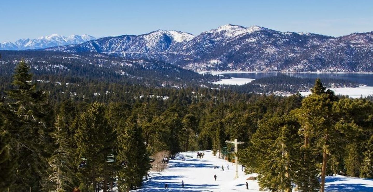 Cruise through the scenic national forest 