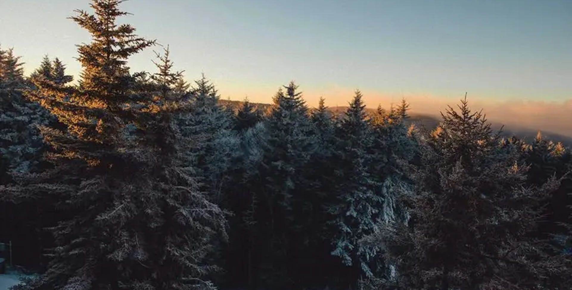 The 6 Best Ski Resorts Near Washington DC, 2023/24