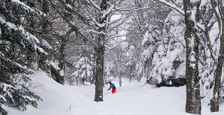 Enjoy unique skiing between the trees (Photo credit: Mont Sutton)