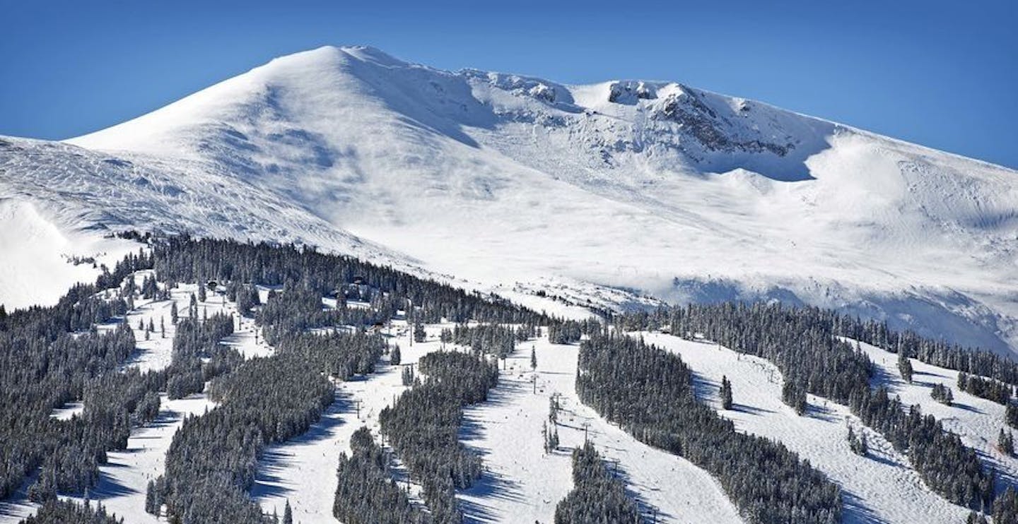 Breck in a snapshot