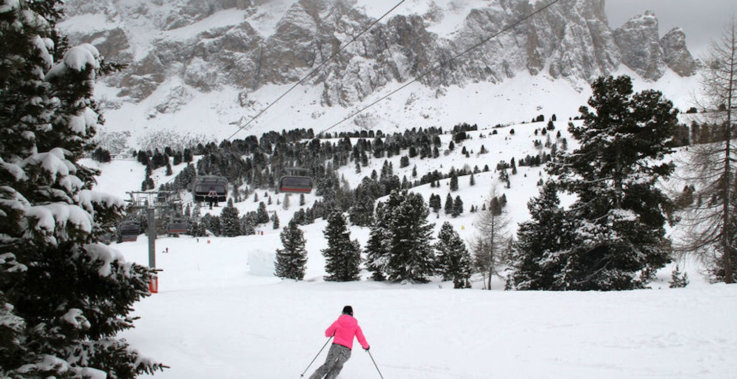 Ski through charming winter trees