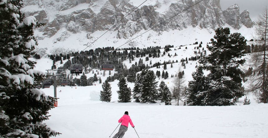 Ski through charming winter trees