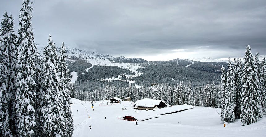 Ski through the beautiful Adamello Brenta Nature Park (Photo credit: Madonna di Campiglio)