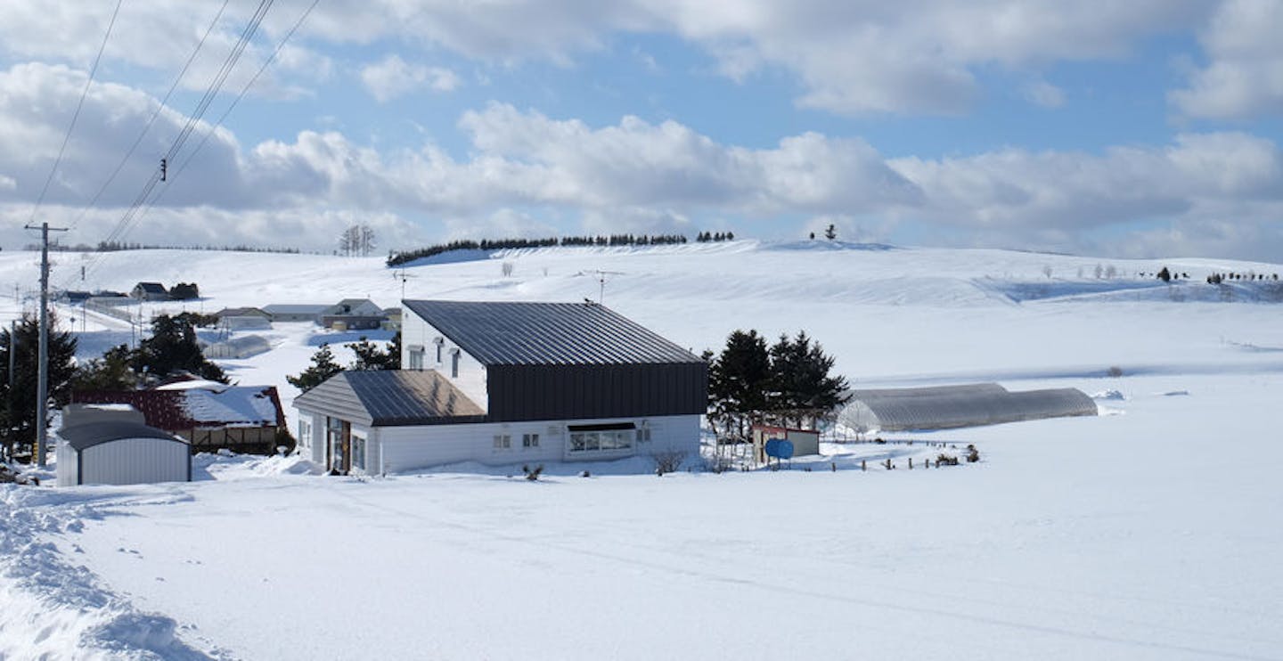 Fresh powder at Furano