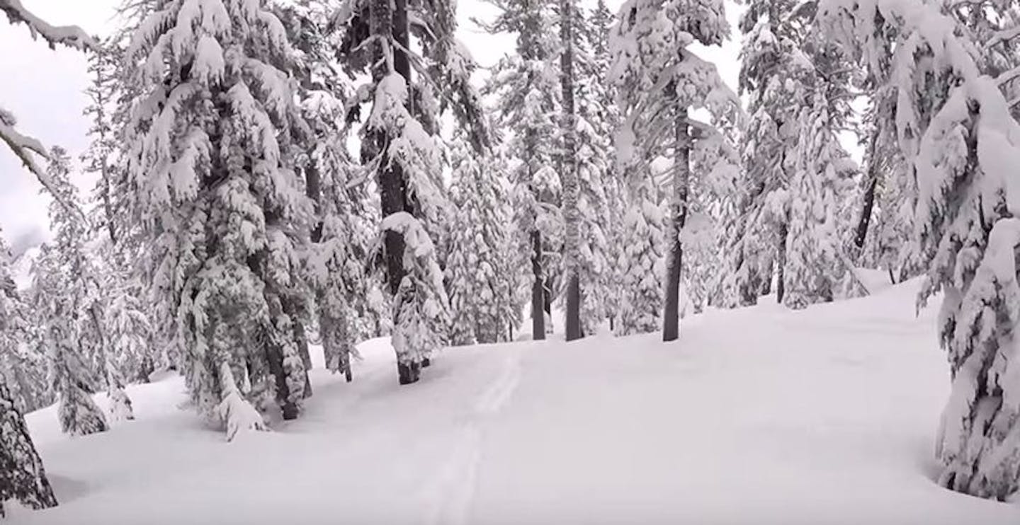 Powder-filled tree runs off the Game Creek gate in Huckleberry Canyon