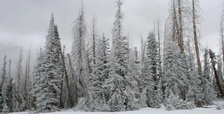 The 5 Best Ski Resorts Near Las Vegas, 2023/24