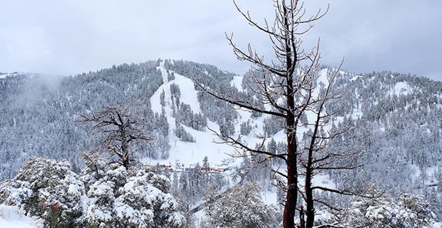 Photo credit: Mountain High