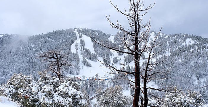 Photo credit: Mountain High