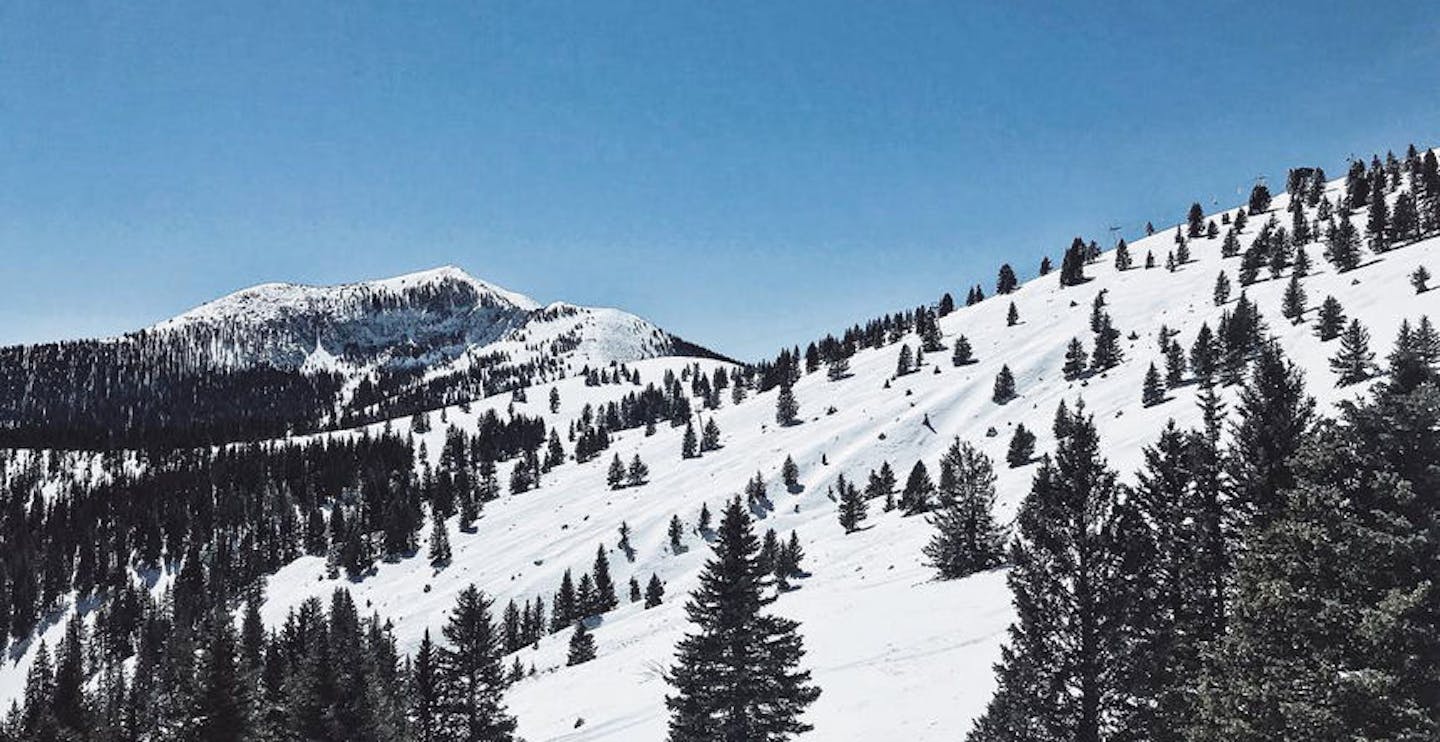 Ski between the trees at Ski Apache (Photo credit: Ski Apache)