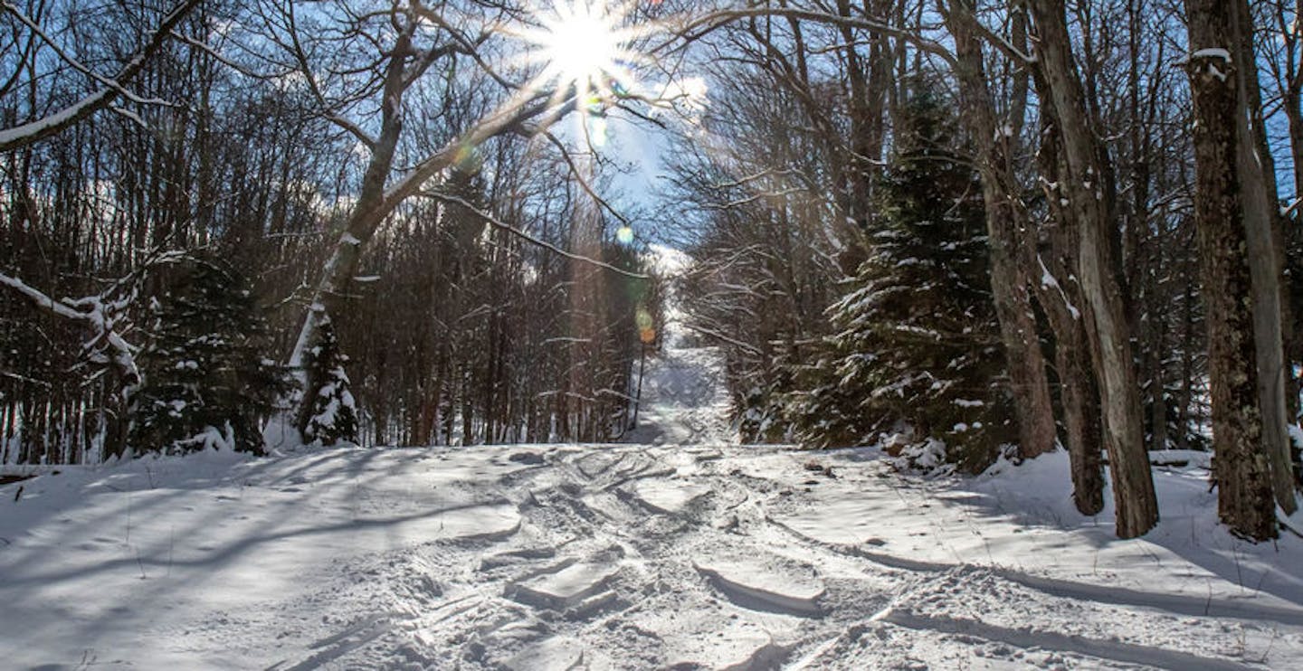 Ski in the beautiful National Forest (Photo credit: Canaan Valley)