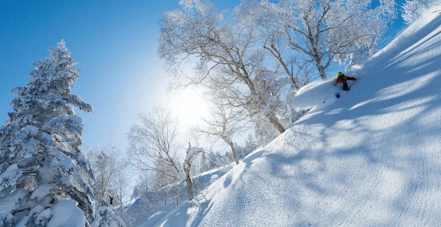 Skier of undiscernible gender in red ski jacket hitting the slopes at Shiga Kogen in Japan.