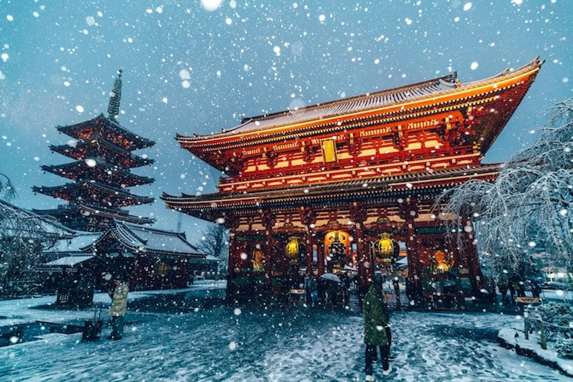 Tokyo, Japan, covered in snow.