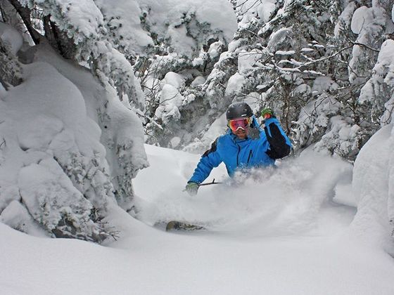 Skiing through powder