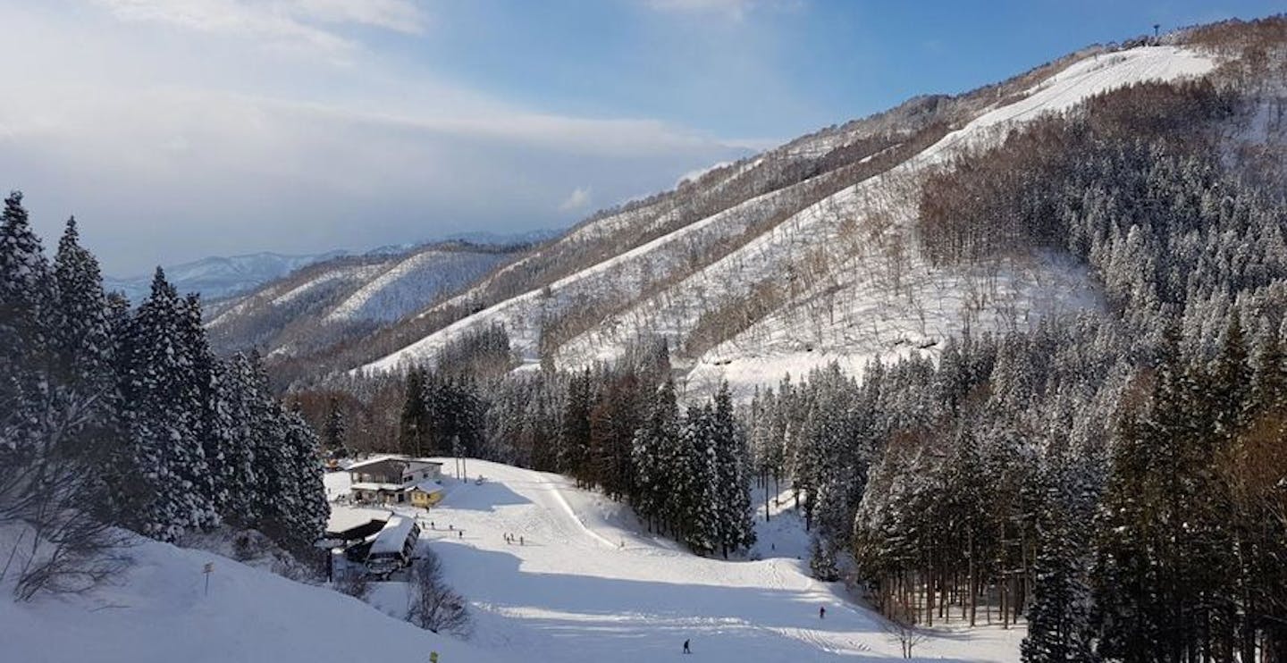 Kandahar East and West race trails in the distance at Nozawa Onsen